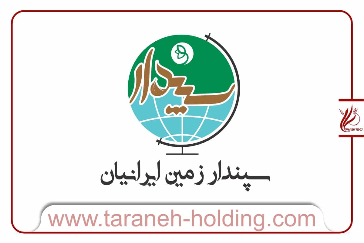 قیمت لوگو تصویری تلفیقی